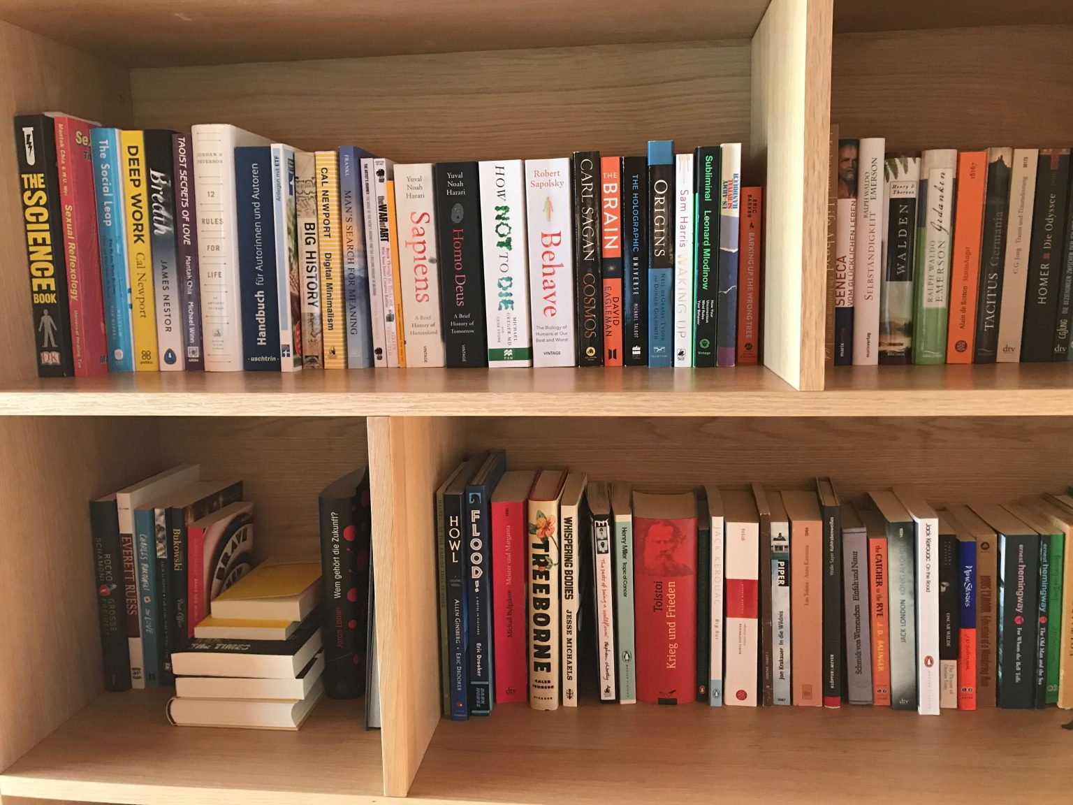 Bücher ausmisten (Einfaches System in 3 Schritten)